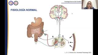 ESTUDIOS DE FISIOLOGÍA ANORRECTAL 2022 [upl. by Aimerej667]