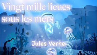 Vingt mille lieues sous les mers  Partie 1  Chapitre 19  Vanikoro [upl. by Swayder]