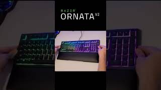 Razer Ornata V2 Sound Test shorts [upl. by Duggan]