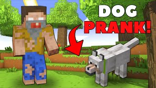 I Pranked My Friend as a DOG in Minecraft [upl. by Perla]