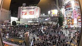 Tokyo Shibuya Crossing Worlds Busiest Intersection  Timelapse HD  ooAsia [upl. by Battiste]