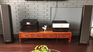 Sonus Faber Grand Piano Home  Parasound Halo A21  Cambridge Audio 851N [upl. by Ehr]