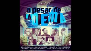 A Pesar De La Dema  Don Miguelo Ft Anthony Santo Toxic Crow  Vakero  Mozart Vakero y Mas [upl. by Macario858]