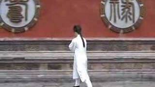 China Tai Chi  Wudang Kungfu  28Form Wudang Taiji 武当太极28式 [upl. by Bren]