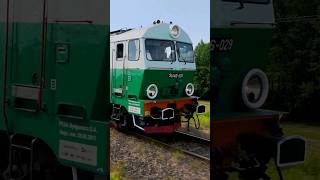 SU46029 z pociągiem specjalnym Rogowiec  Piotrków Trybunalski su46 pociągi trains kolej [upl. by Eyssej348]