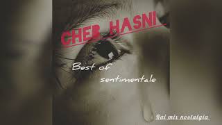 Cheb Hasni  best of sentimentale 🎶 من أحسن أغاني الشاب حسني الحزينة [upl. by Llemart]