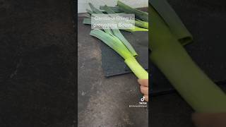 Afghan Gandana Bolani  Leek Gözleme [upl. by Merfe]