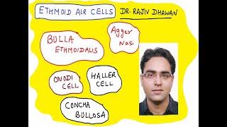 DR Rajiv Dhawan LETS MAKE ETHMOID AIR CELLS EASY TO UNDERSTAND  for UG Medical students [upl. by Aksoyn596]