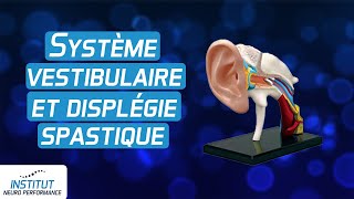 Système vestibulaire correction et dysplegie spastique [upl. by Riebling]