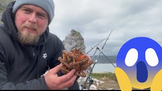 Long quarry fishing Babbacombe Torbay SpiderMan [upl. by Kirwin]