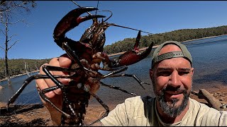 Marron fishing Trekking from the beach to the river to catch some Marron catch and cook [upl. by Wrigley]