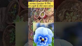 5 most beautiful flowering plants for winter winterflowersname winterflower shorts ytshorts [upl. by Filip]