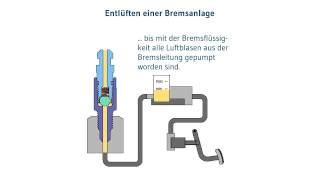 Bremse entlüften  Autobremse entlüften mit dem stahlbus Entlüftungsventil [upl. by Aronas]