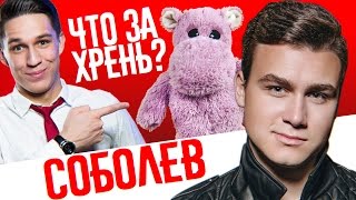 НИКОЛАЙ СОБОЛЕВ против Розового Бегемота  Зачем нужны эти предметы [upl. by Vyner]