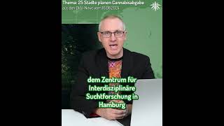 Säule 2 lebt Modellprojekte für Cannabisabgabe  Clip aus den DHVNews vom 160824 [upl. by Kcinemod770]