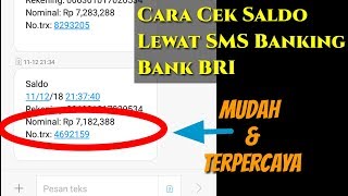 Cara Cek Saldo Lewat SMS Banking BRI [upl. by Azral]