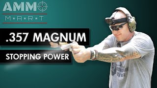 Stopping Power of 357 Magnum [upl. by Eugirne]