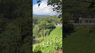 Kauai’s Hindu Monastery amp Temple hindutemple shivatemple yogaforbeginners meditation yoga [upl. by Normak]