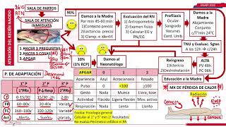 ATENCION DEL RECIEN NACIDO NEONATOLOGIA PARTE 1 ENAM [upl. by Potash]