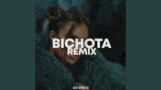 Bichota Remix [upl. by Chambers]