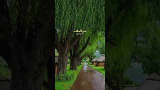 Dozakh ki aag se bachne ka Wazifa therightwaytogo feedshortsshortsviralvideo emotional [upl. by Richey]