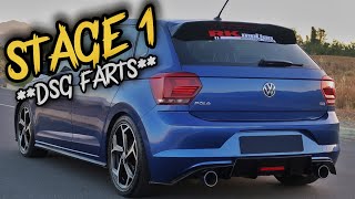 THIS VW POLO TSI SOUNDS INSANE  DSG FARTS amp MORE [upl. by Yael]