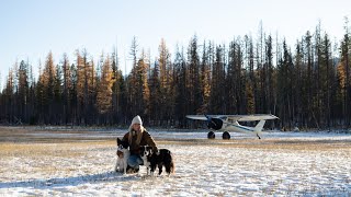 Montana Backcountry Flying [upl. by Ernestine93]