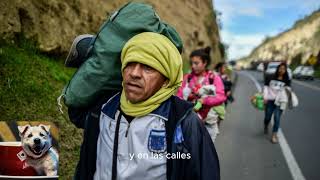 AMLO retira todas las banderas venezolanas quotEN MÉXICO SÓLO MI BANDERA ONDEAquot [upl. by Llerraj954]