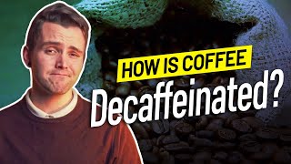 How is Coffee Decaffeinated [upl. by Swithbart]