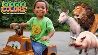 Gaga Baby Plays HIDE N SEEK with ZOO ANIMALS Learn to Count to 5 [upl. by Ruford639]