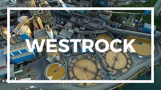 WestRock MeadWestvaco by Drone  Covington Virginia [upl. by Lumbye]