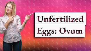 What is an unfertilized egg called in humans [upl. by Adnael33]