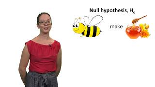 Null and alternative hypotheses with Lindsey Leach [upl. by Iolande]