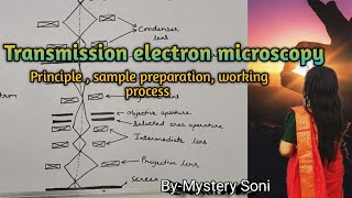 BScMSc Transmission electron microscopy for plant protoplast cells and tissues [upl. by Celine747]