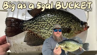 CRAPPIE 5 Gallon Bucket CHALLENGE Catch Clean Cook [upl. by Ayokal343]