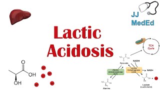 Doxycycline Treats Bacterial Infections and Prevents Malaria Infections  Overview [upl. by Firooc]