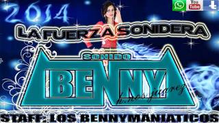 malditas ganas  sonido benny en vivo 13 dic 2014 tungareo mich [upl. by Yrrek]