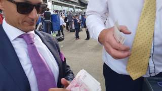 BETTING AT ROYAL ASCOT WINNING 🐴 [upl. by Asilav479]