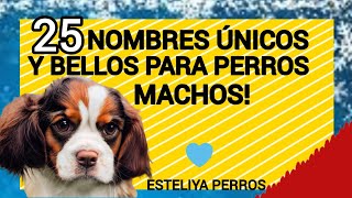 25 NOMBRES LINDÍSIMOS PARA PERROS MACHOS [upl. by Lunneta143]