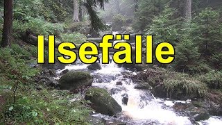 HARZ  Ilsefälle b Ilsenburg🦦🌲🌄am BrockenHarzWasserfälle🐿🦦🦫SachsenAnhalt Videoreisefüher HARZ [upl. by Chic]