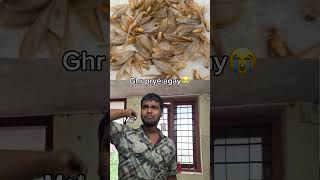 Ghr pr tidde aagay😭😭 shortsvideo reels funny [upl. by Quenna]