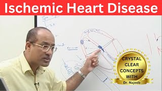 Ischemic Heart Disease  Myocardial Infarction  Cardiology🫀 [upl. by Sitnik518]