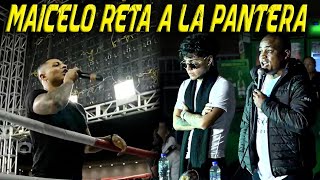 MAICELO RETA a LA PANTERA ZEGARRA a UNA PELEA DE BOX EN VIVO 😮CELEBRITY COMBAT  CALI CLIPS [upl. by Cirda]