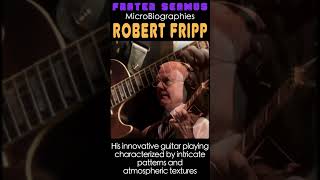 Robert Fripp  guitar in the 5th dimension [upl. by Heilman986]