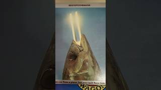 reo speedwagon time for me to fly retro vinyl record album reospeedwagon timeformetofly [upl. by Rape]