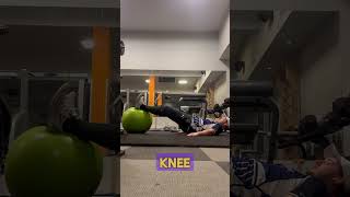 Swiss Ball Hamstring Curl [upl. by Cherian]