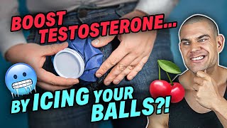 How To Boost TESTOSTERONE Levels Using An ICEPACK Icing Your Testicles Freebie Protocol [upl. by Ayita]