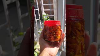 Ghost chili pickle  bhut jolokia achar🥵ytshortsshorts ghostchili [upl. by Vento]