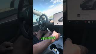 How to Use the Emergency Brake on a Tesla Model 3 or Model Y [upl. by Sanfo611]