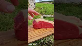 Rib Eye Burger Cooked to Perfection🔥Relaxing Cooking ASMR [upl. by Nylaehs]